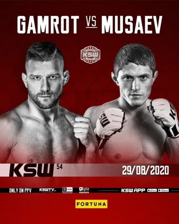 MMA article image