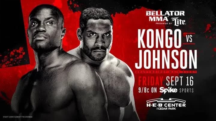MMA article image