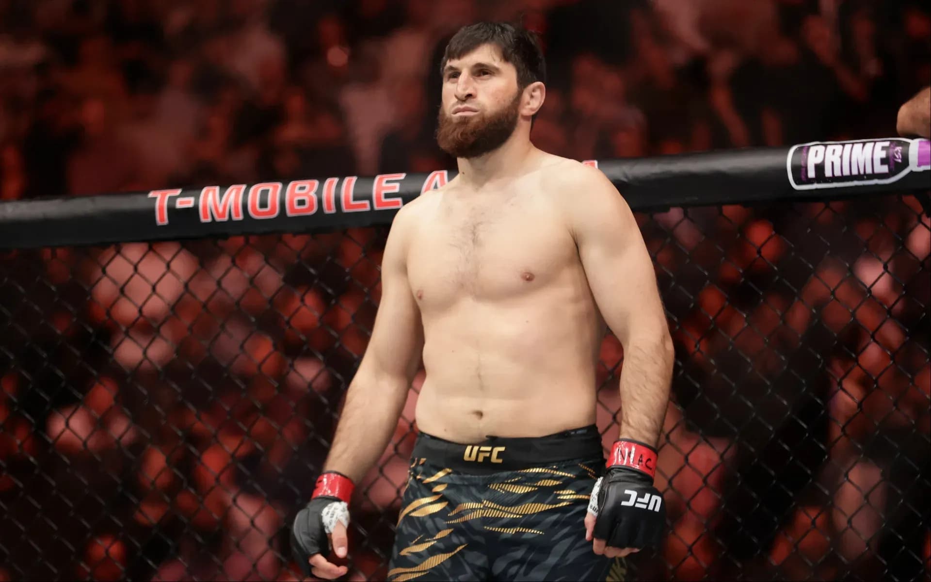 magomed-ankalaev