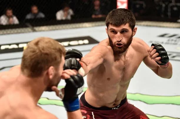 magomed ankalaev