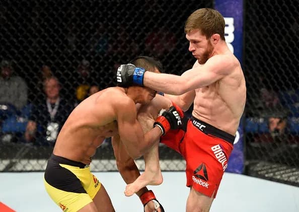MMA article image