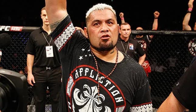 MMA article image