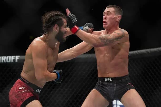 MMA article image