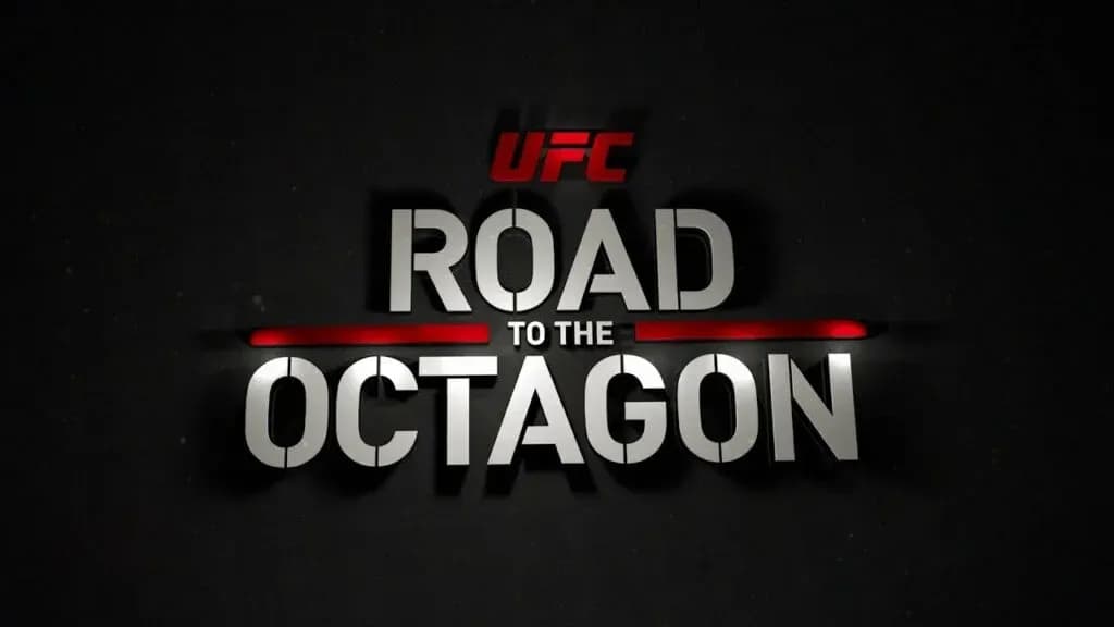 MMA article image