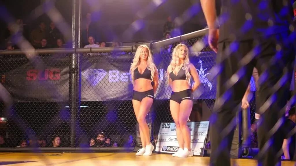 MMA article image