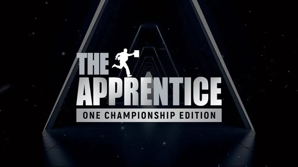 MMA article image