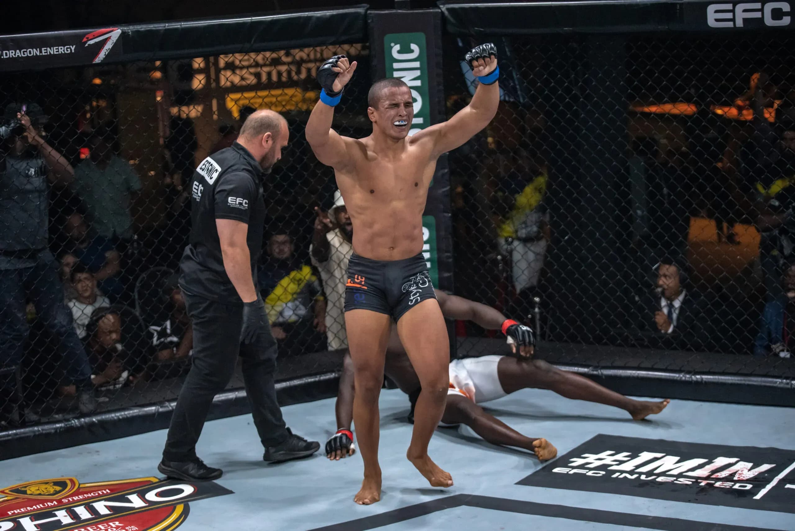 MMA article image