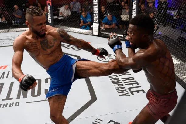 Island Fights 51