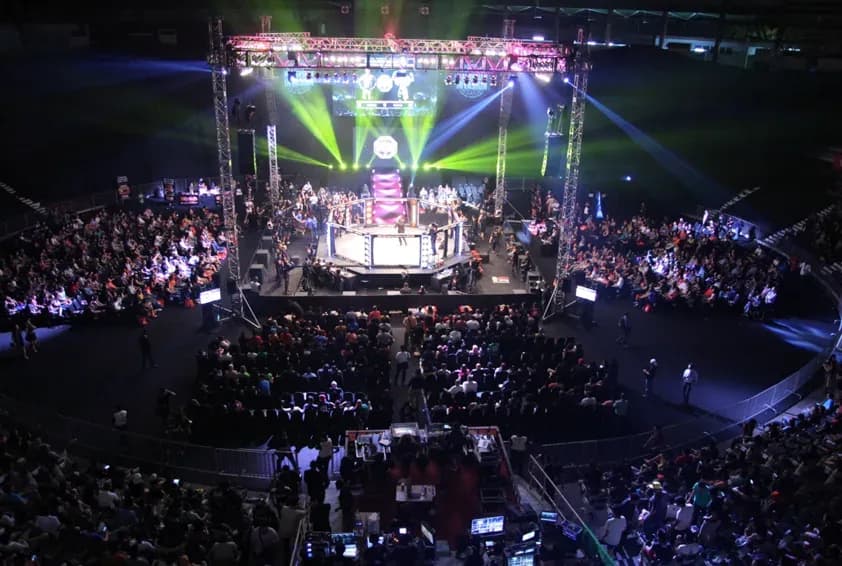MMA article image