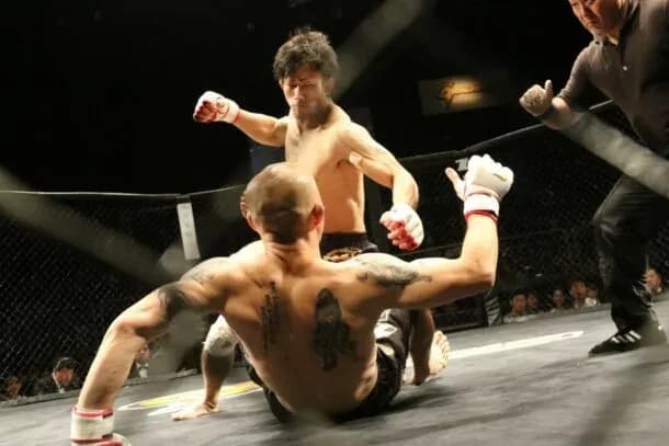 MMA article image