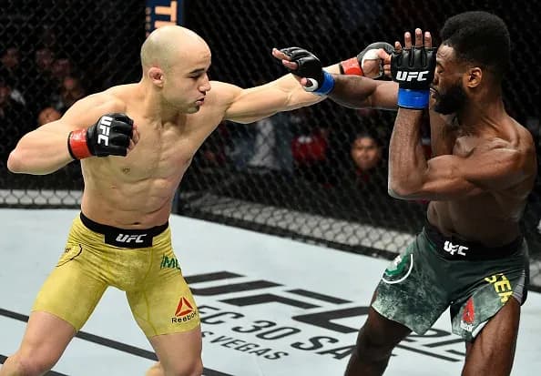 MMA article image