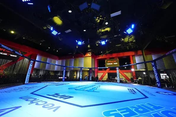 MMA article image