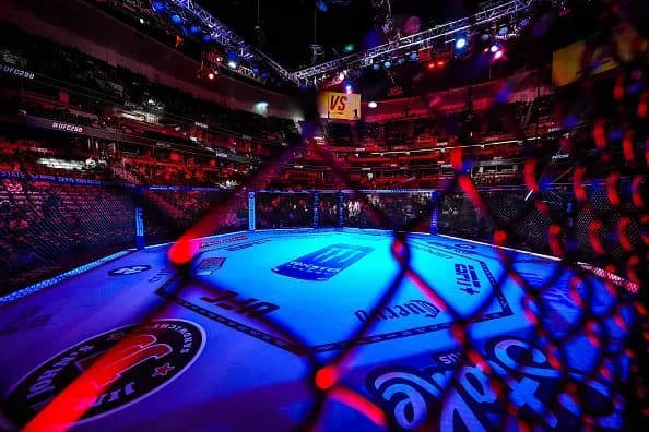 MMA article image