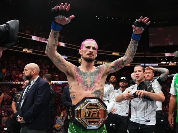 MMA article image