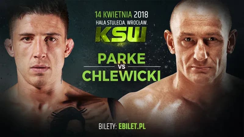 MMA article image
