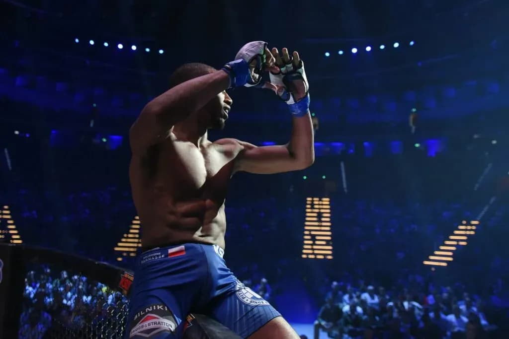 MMA article image