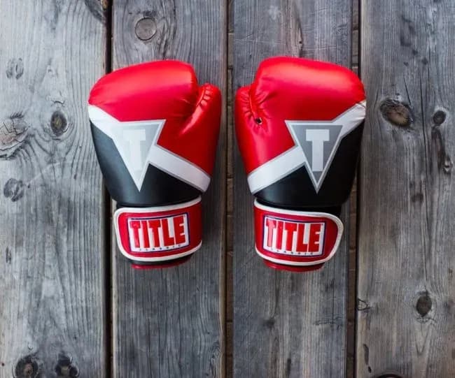 MMA article image