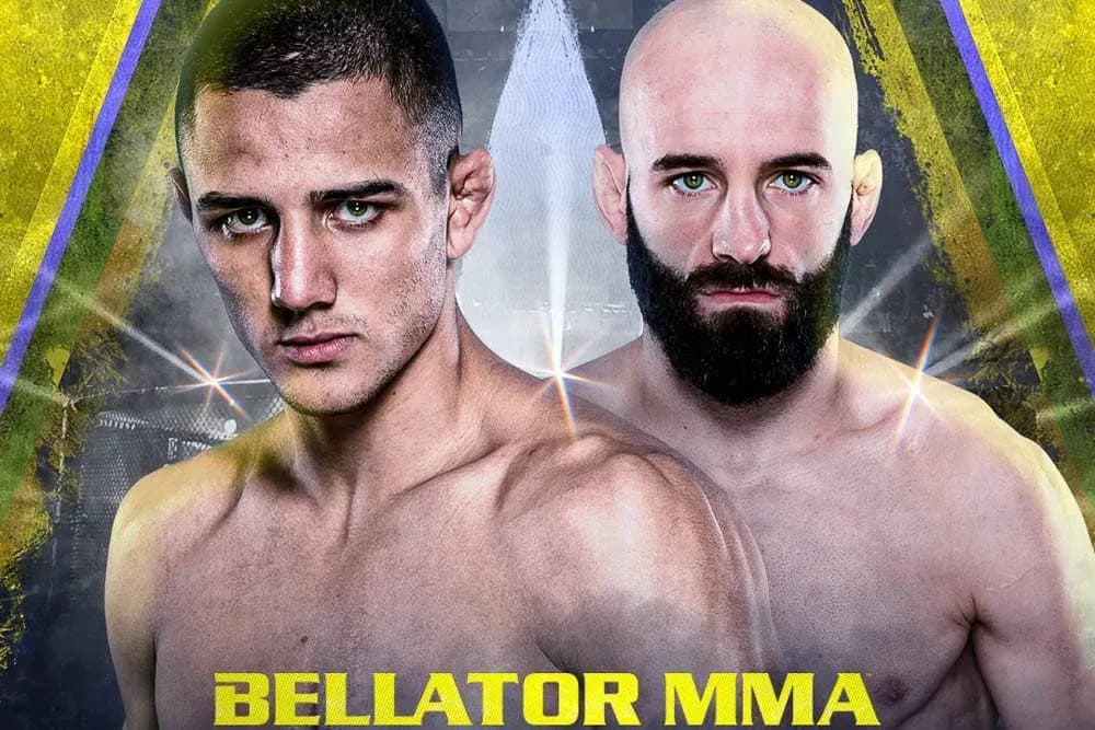 MMA article image