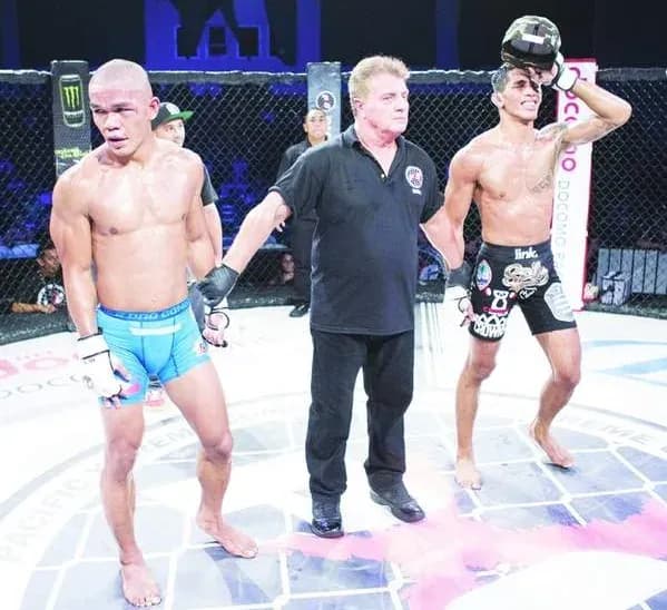MMA article image