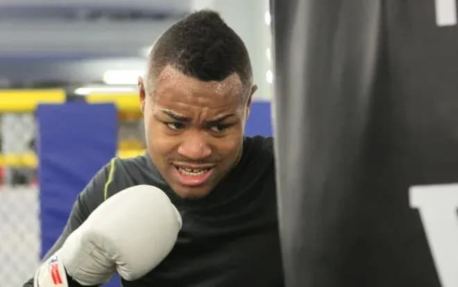 MMA article image