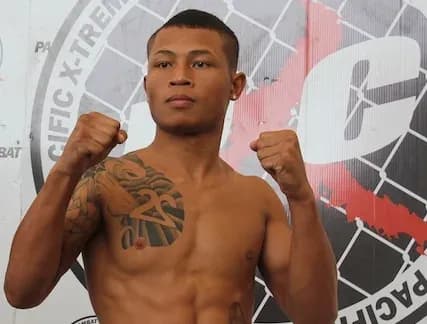 MMA article image