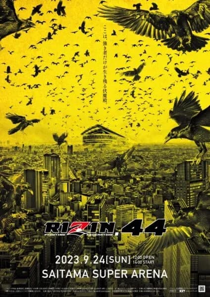 MMA article image