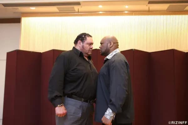 MMA article image