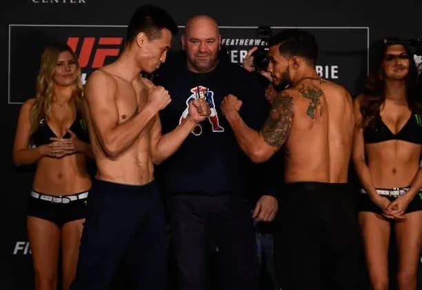 MMA article image