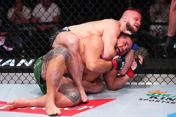 MMA article image