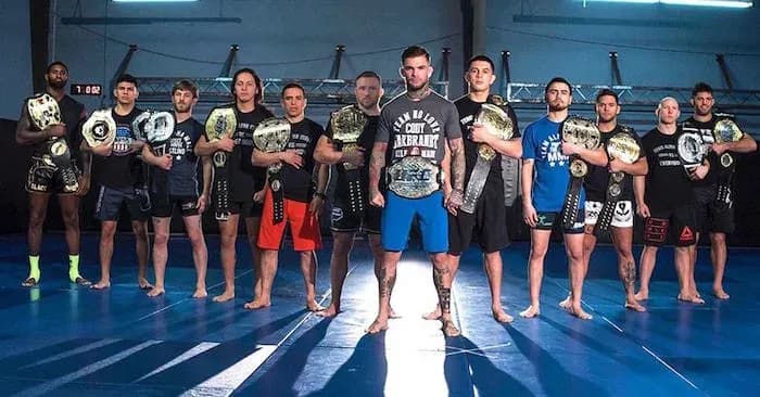 MMA article image