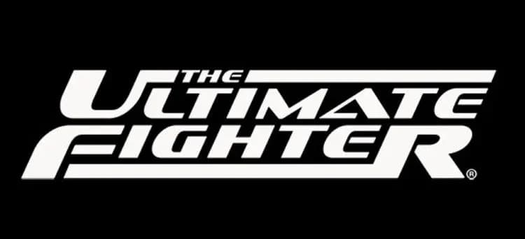 MMA article image