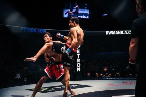 MMA article image