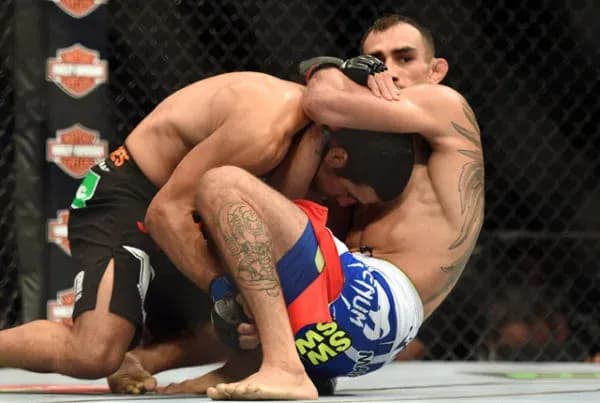 MMA article image