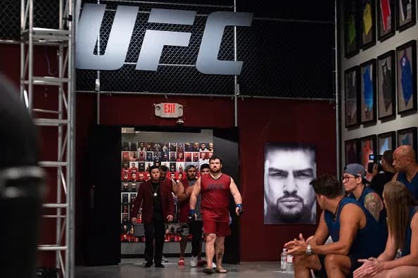 The Ultimate Fighter