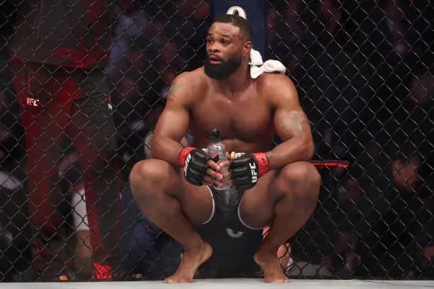 MMA article image