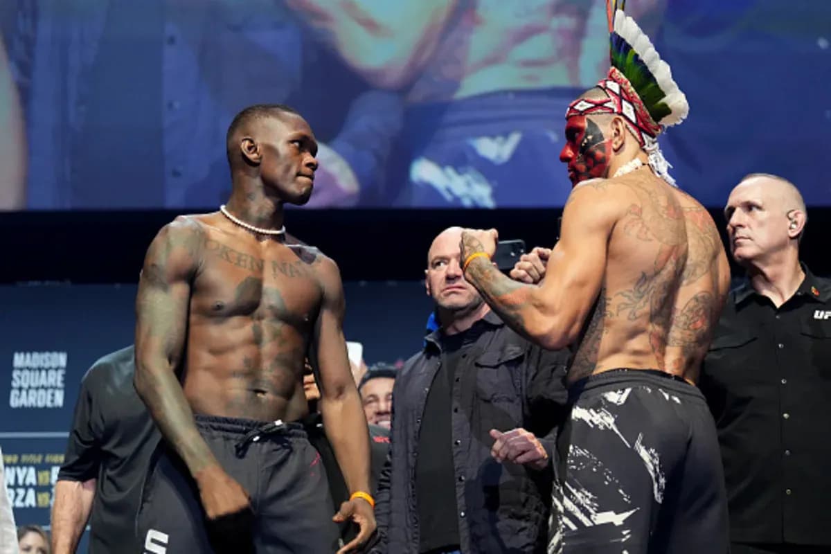 MMA article image