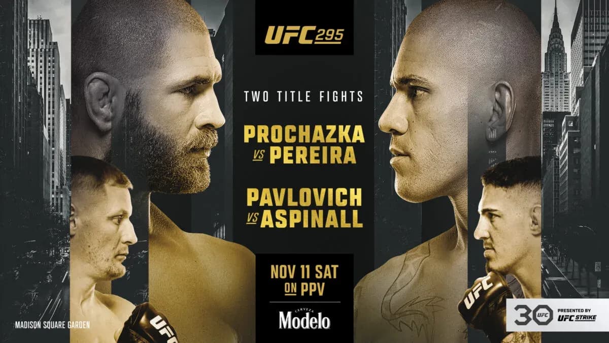 MMA article image