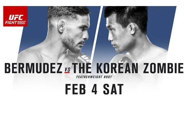 MMA article image