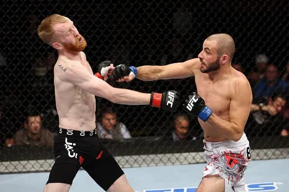MMA article image