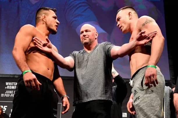 UFC welterweight