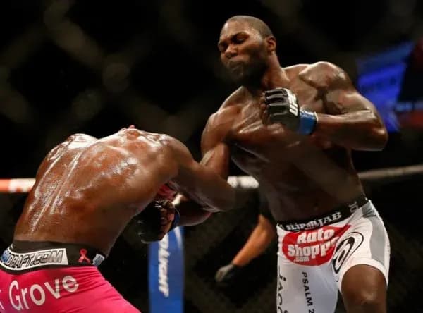 MMA article image