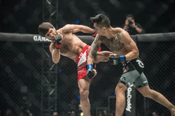 MMA article image