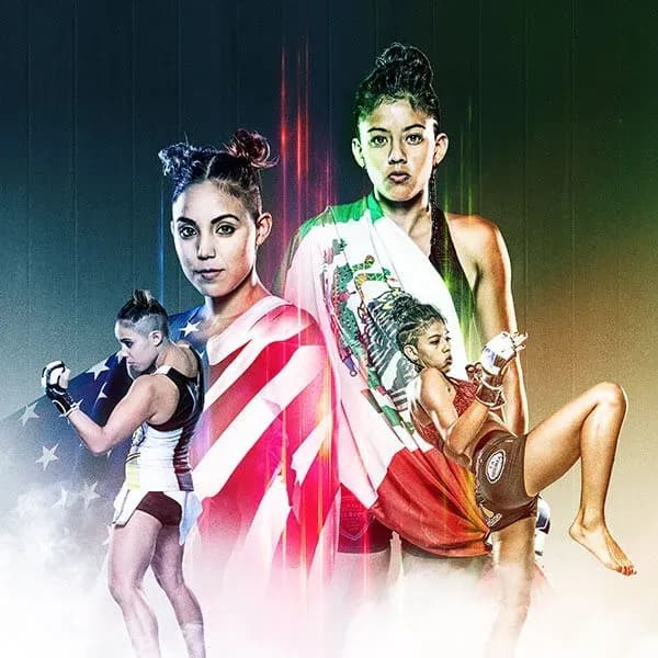 MMA article image