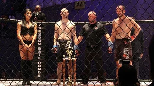 MMA article image