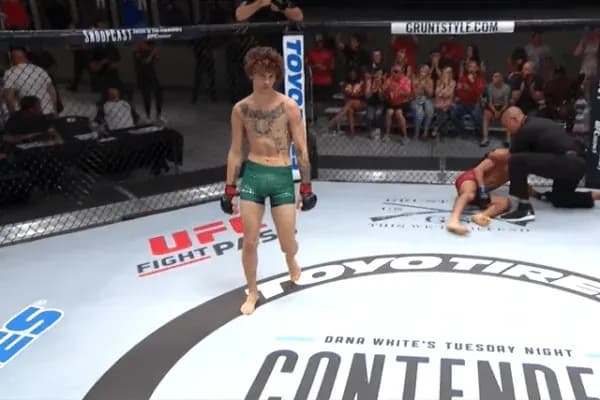 MMA article image