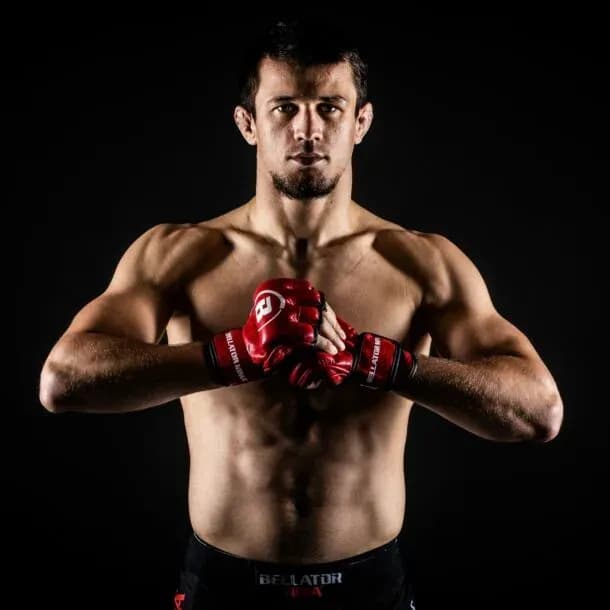 MMA article image