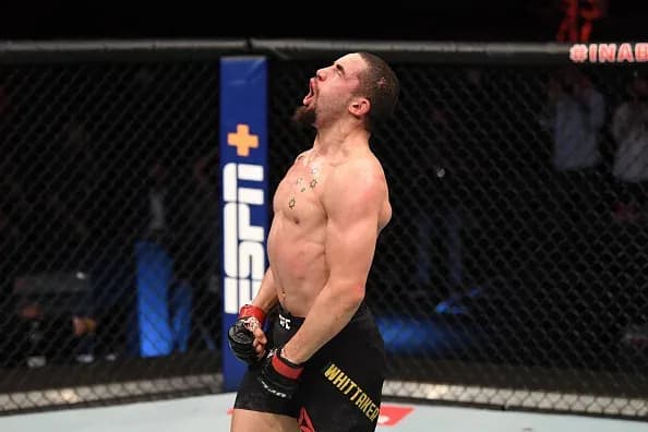 robert whittaker