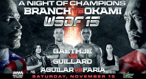 MMA article image