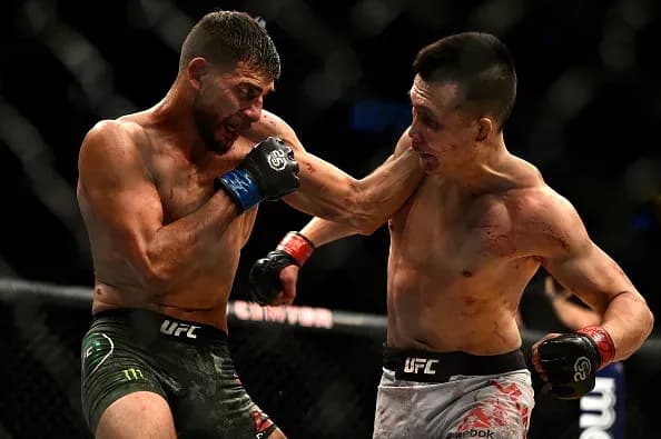 MMA article image