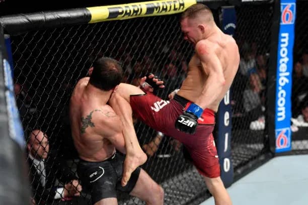 UFC 238